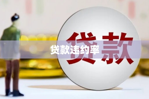 双台子贷款违约率