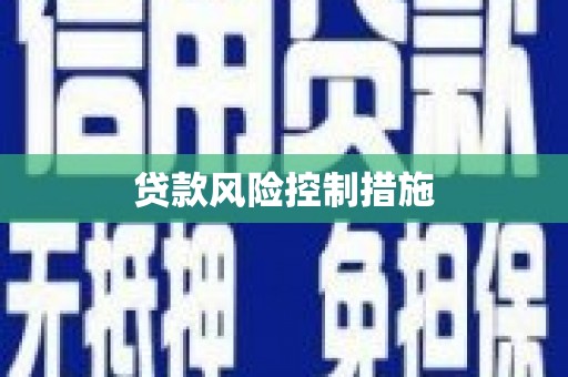 双台子贷款风险控制措施
