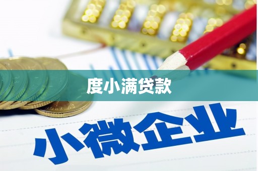 双台子度小满贷款