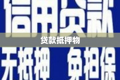 双台子贷款抵押物