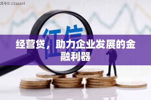 双台子经营贷，助力企业发展的金融利器
