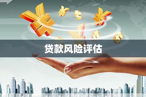 双台子贷款风险评估