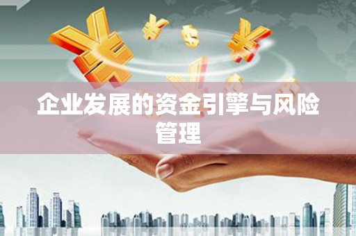 双台子企业发展的资金引擎与风险管理