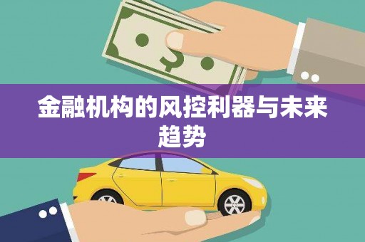 双台子金融机构的风控利器与未来趋势