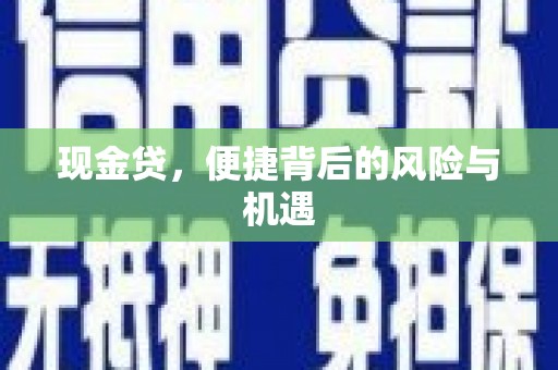 双台子现金贷，便捷背后的风险与机遇
