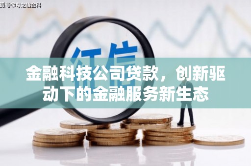双台子金融科技公司贷款，创新驱动下的金融服务新生态