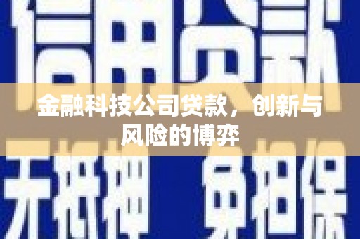 双台子金融科技公司贷款，创新与风险的博弈