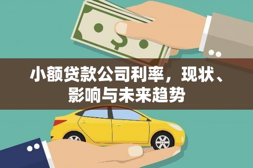 双台子小额贷款公司利率，现状、影响与未来趋势