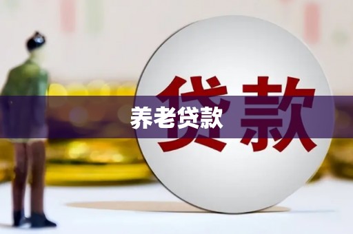 双台子养老贷款
