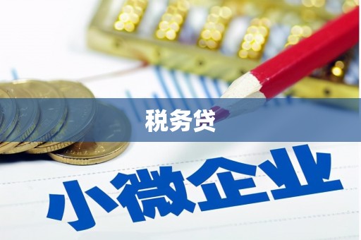 双台子税务贷