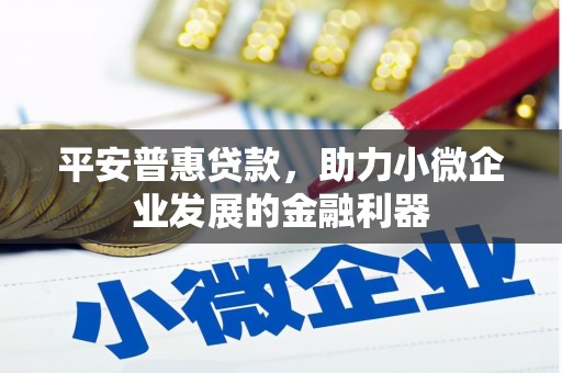 双台子平安普惠贷款，助力小微企业发展的金融利器