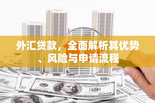 双台子外汇贷款，全面解析其优势、风险与申请流程