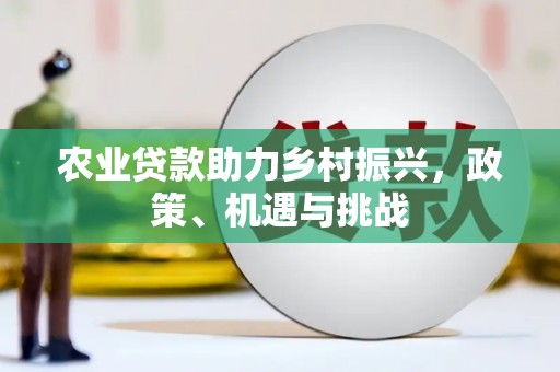 双台子农业贷款助力乡村振兴，政策、机遇与挑战