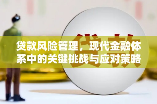 双台子贷款风险管理，现代金融体系中的关键挑战与应对策略