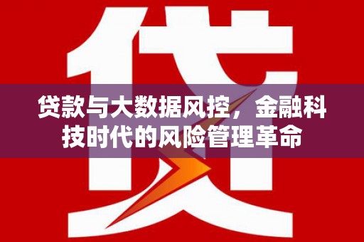 双台子贷款与大数据风控，金融科技时代的风险管理革命