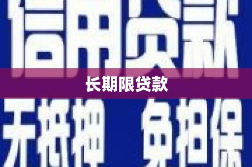 双台子长期限贷款