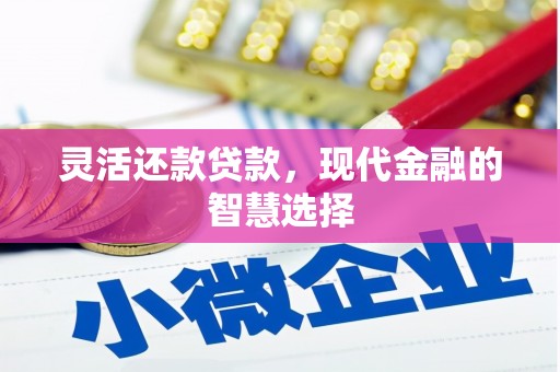 双台子灵活还款贷款，现代金融的智慧选择