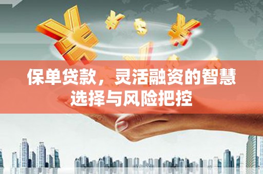 双台子保单贷款，灵活融资的智慧选择与风险把控