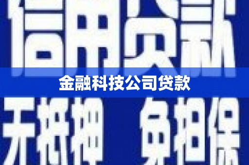 双台子金融科技公司贷款