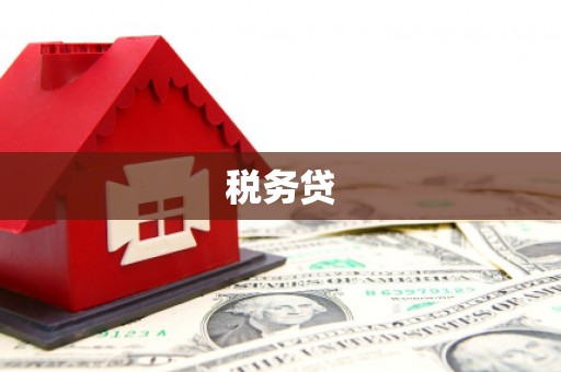 双台子税务贷
