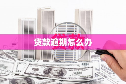 双台子贷款逾期怎么办