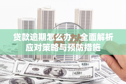 双台子贷款逾期怎么办，全面解析应对策略与预防措施