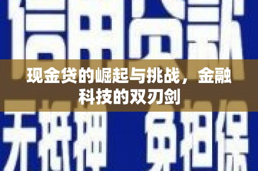 双台子现金贷的崛起与挑战，金融科技的双刃剑