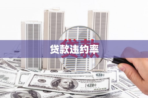 双台子贷款违约率