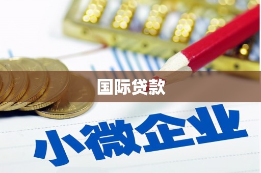 双台子国际贷款