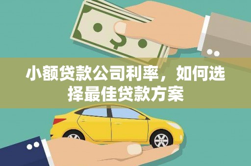 双台子小额贷款公司利率，如何选择最佳贷款方案
