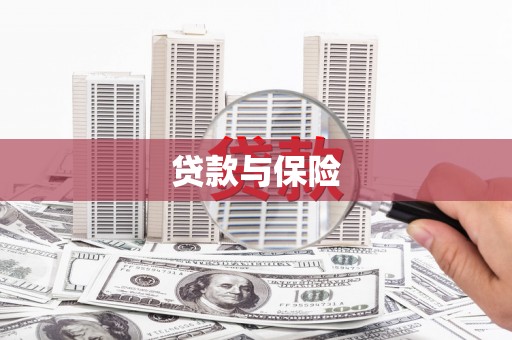 双台子贷款与保险