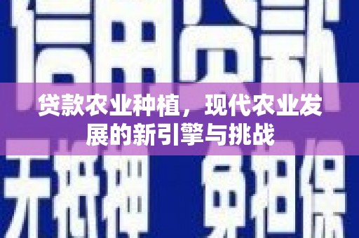 双台子贷款农业种植，现代农业发展的新引擎与挑战