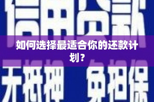 双台子如何选择最适合你的还款计划？