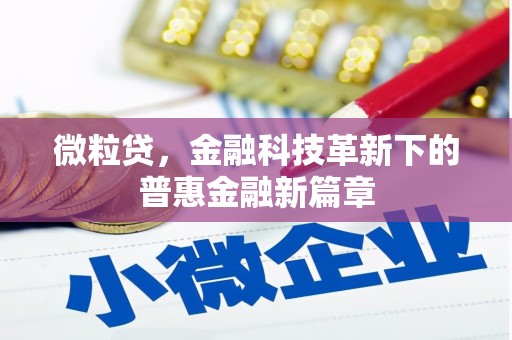 双台子微粒贷，金融科技革新下的普惠金融新篇章