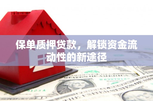 双台子保单质押贷款，解锁资金流动性的新途径