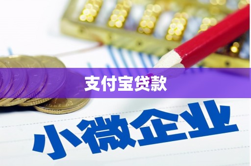 双台子支付宝贷款