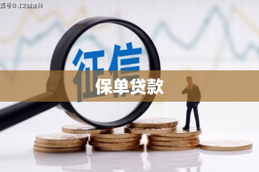 双台子保单贷款