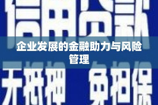 双台子企业发展的金融助力与风险管理