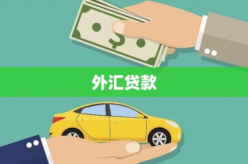 双台子外汇贷款