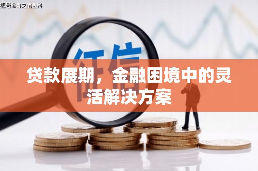 双台子贷款展期，金融困境中的灵活解决方案