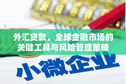 双台子外汇贷款，全球金融市场的关键工具与风险管理策略