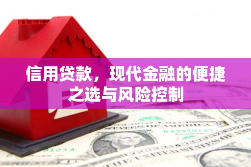 双台子信用贷款，现代金融的便捷之选与风险控制