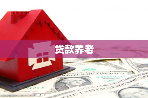 双台子贷款养老