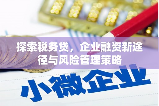 双台子探索税务贷，企业融资新途径与风险管理策略