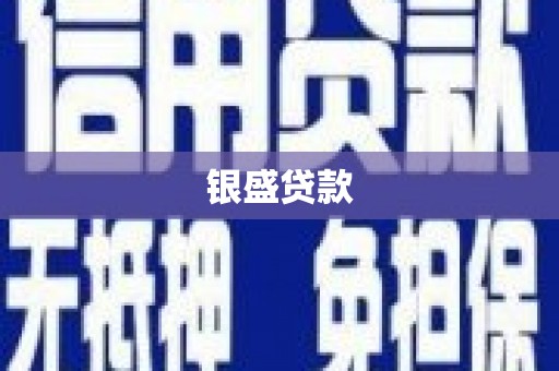 双台子银盛贷款
