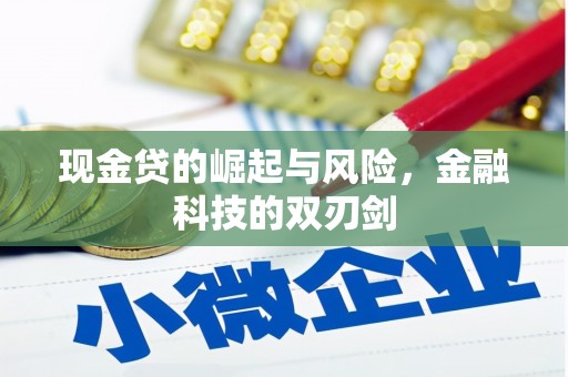 双台子现金贷的崛起与风险，金融科技的双刃剑