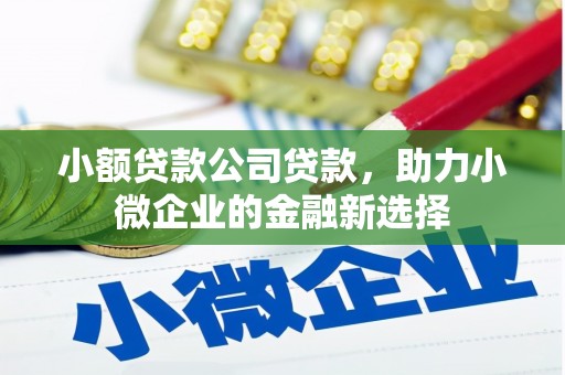 双台子小额贷款公司贷款，助力小微企业的金融新选择