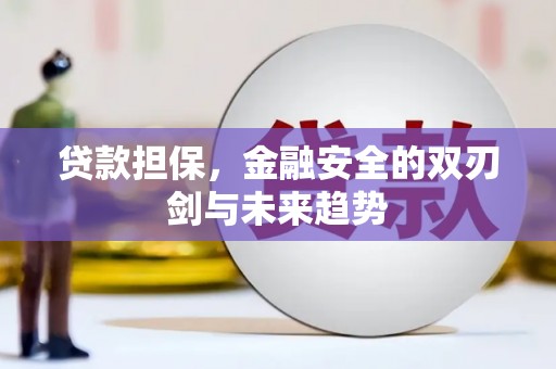 双台子贷款担保，金融安全的双刃剑与未来趋势