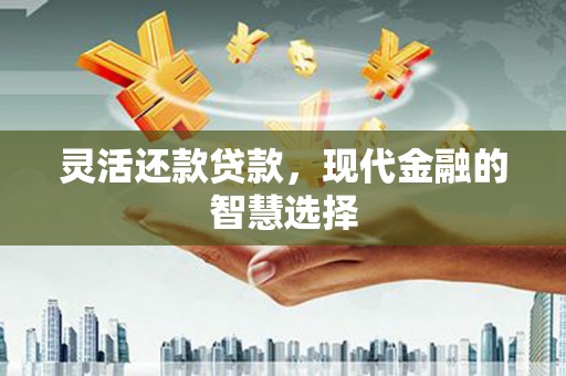 双台子灵活还款贷款，现代金融的智慧选择
