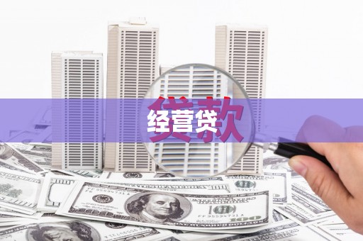 双台子经营贷